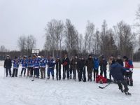 Турнир по хоккею «Кубок Толмачёво»
